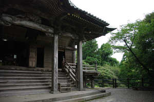 IMGP1891_xga.jpg