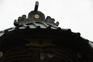 IMGP1892_xga.jpg