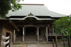 IMGP1898_xga.jpg