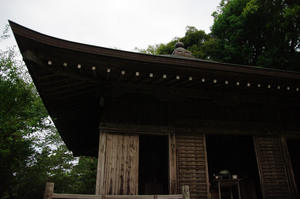 IMGP1909_xga.jpg