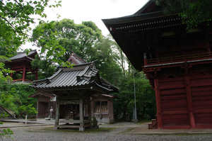 IMGP1912_xga.jpg
