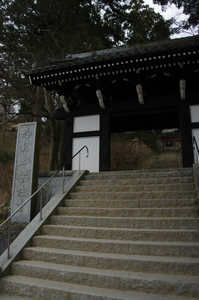 IMGP5789_xga.jpg