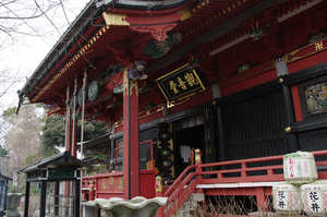 IMGP5805_xga.jpg