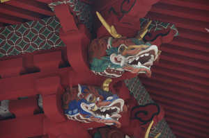 IMGP5809_xga.jpg