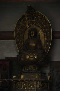 IMGP5847_xga.jpg