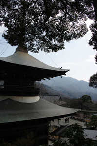 IMGP5877_xga.jpg