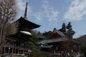 IMGP5931_xga.jpg