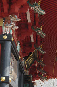 IMGP5967_xga.jpg