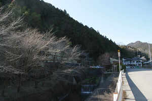 IMGP6169_xga.jpg