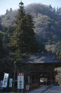 IMGP6178_xga.jpg