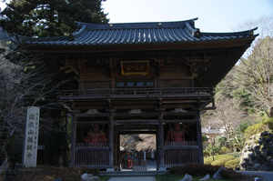 IMGP6193_xga.jpg