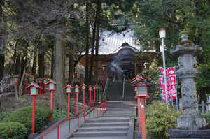 IMGP6202_xga.jpg