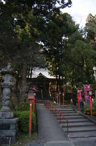 IMGP6212_xga.jpg