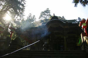 IMGP6232_xga.jpg