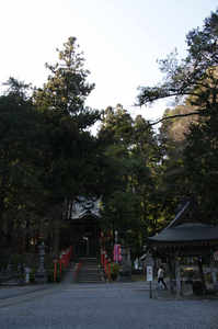IMGP6254_xga.jpg