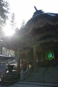 IMGP6285_xga.jpg