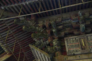 IMGP6291_xga.jpg