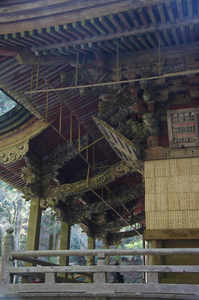 IMGP6292_xga.jpg