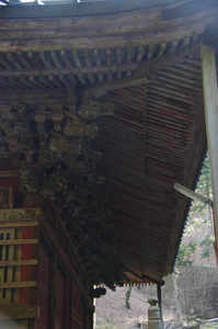 IMGP6298_xga.jpg