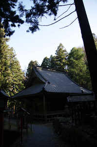 IMGP6310_xga.jpg
