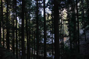 IMGP6313_xga.jpg