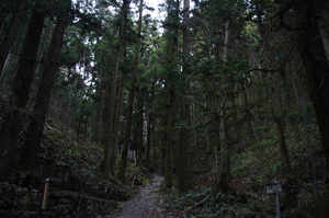 IMGP6320_xga.jpg