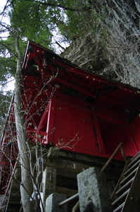 IMGP6339_xga.jpg