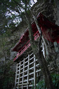 IMGP6341_xga.jpg