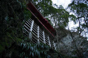 IMGP6349_xga.jpg