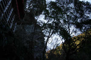 IMGP6352_xga.jpg