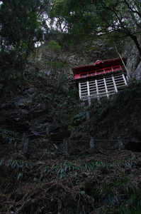 IMGP6369_xga.jpg