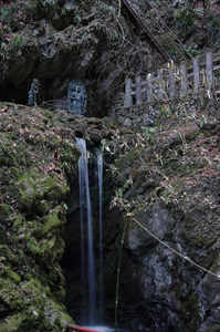 IMGP6370_xga.jpg