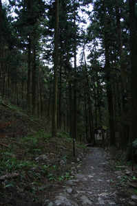 IMGP6389_xga.jpg
