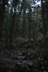 IMGP6391_xga.jpg