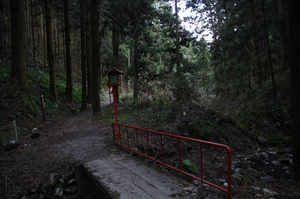 IMGP6395_xga.jpg