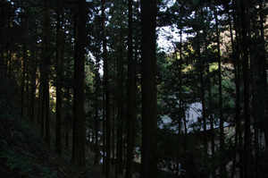 IMGP6403_xga.jpg