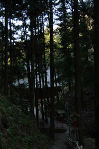 IMGP6416_xga.jpg