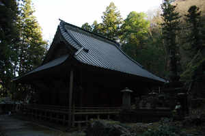 IMGP6427_xga.jpg