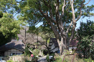 IMGP6881_xga.jpg