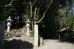 IMGP6895_xga.jpg
