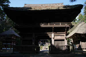IMGP6932_xga.jpg