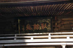 IMGP6937_xga.jpg