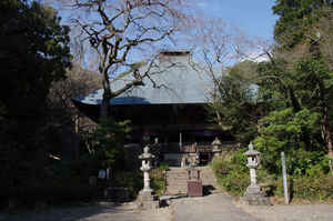 IMGP6946_xga.jpg