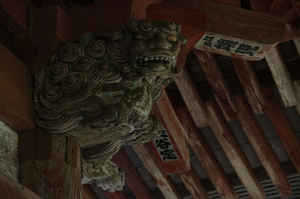 IMGP6961_xga.jpg