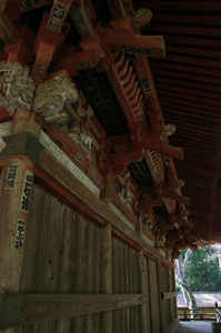 IMGP6964_xga.jpg