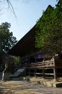 IMGP6997_xga.jpg