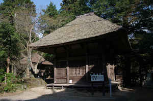 IMGP7006_xga.jpg