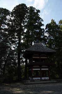 IMGP7057_xga.jpg