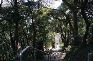 IMGP7073_xga.jpg