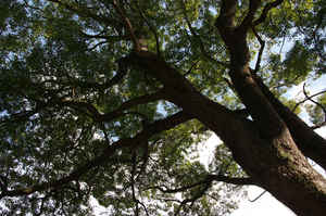 IMGP7104_xga.jpg